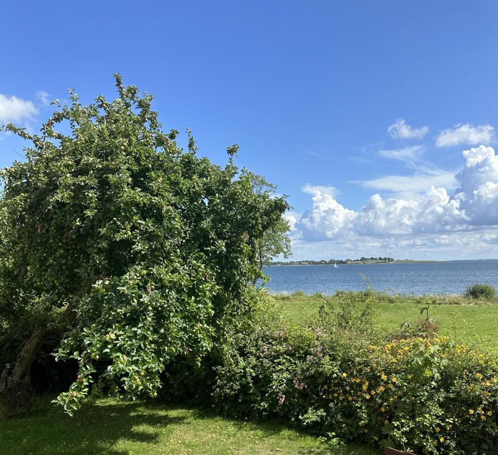 Strandhuset Vollerup エクステリア 写真